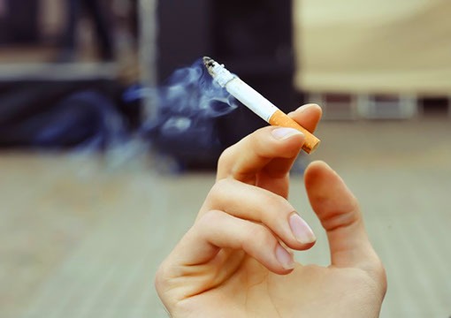 Dr. Elisabeth Leko Mohr - Foto Tabakrauch